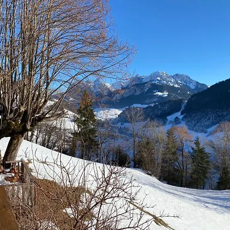 Heidi Alps - Unique Experience - Authentic Part Apartment