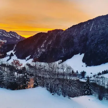 Heidi Alps - Unique Experience - Authentic Part Apartment