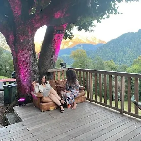 Heidi Alps - Unique Experience - Authentic Part Rossinière
