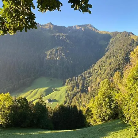 Heidi Alps - Unique Experience - Authentic Part شقة *
