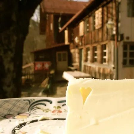 Heidi Alps - Unique Experience - Authentic Part Rossinière